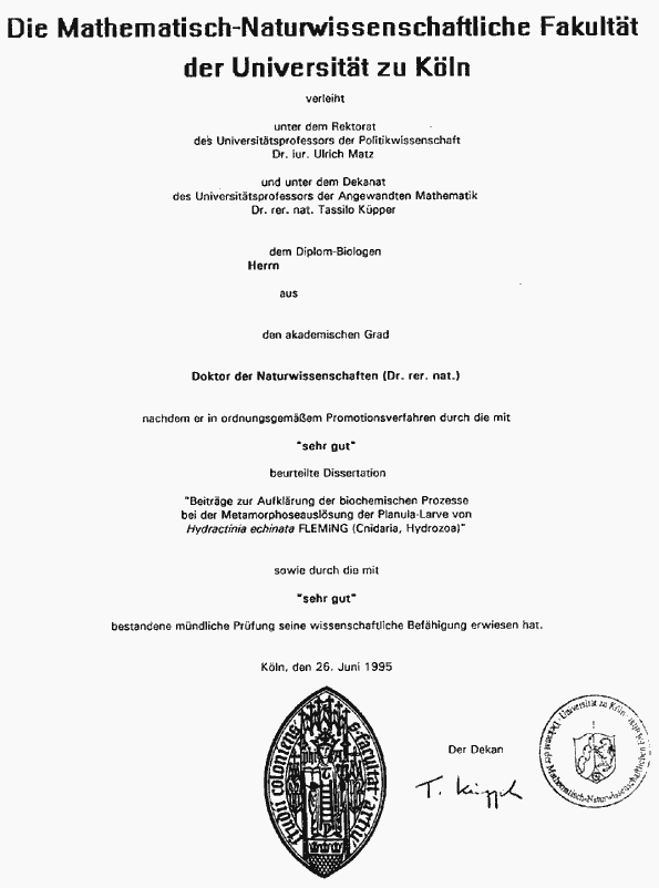 diss.gif (17581 Byte)