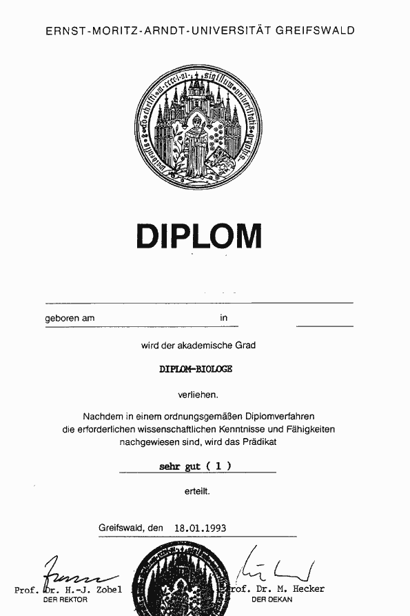 dipl1.gif (21017 Byte)