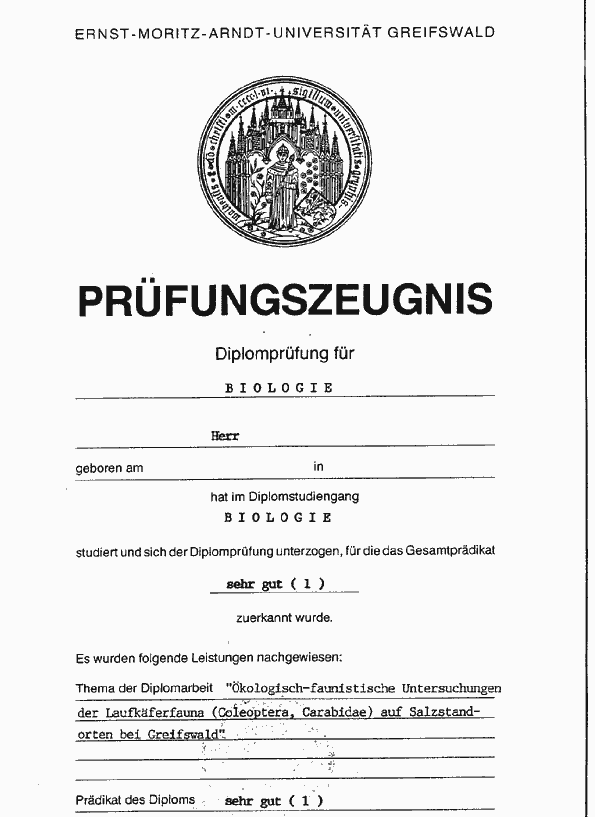 dipl2.gif (21545 Byte)