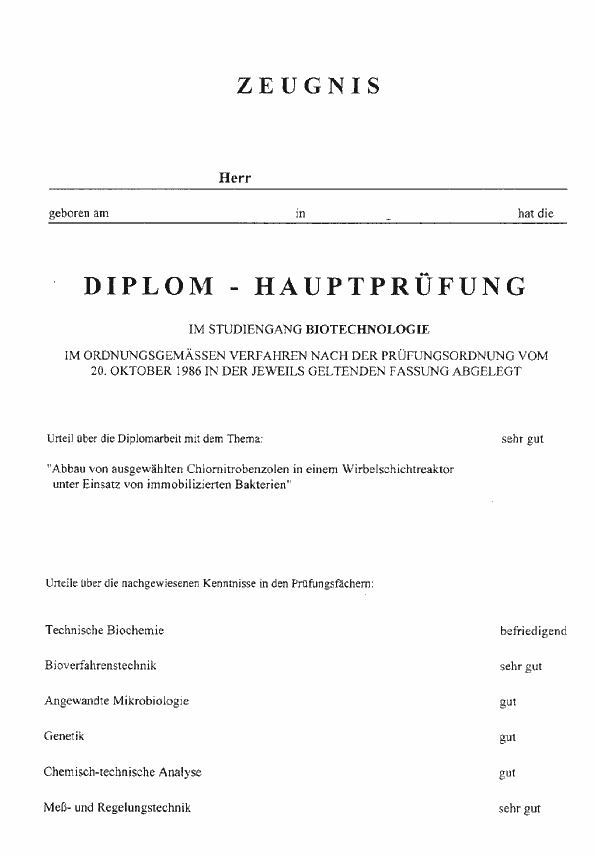 dipl1.gif (11890 Byte)