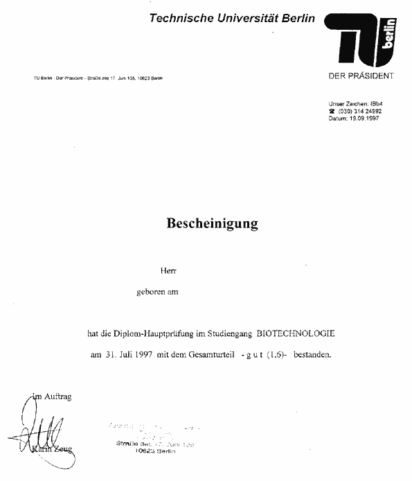 dipl3.gif (7462 Byte)