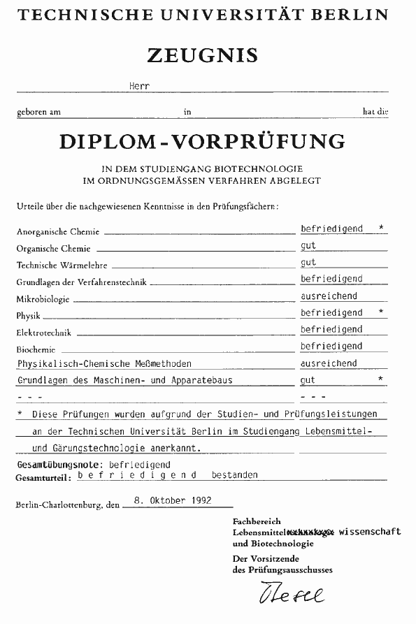 vordipl.gif (20891 Byte)