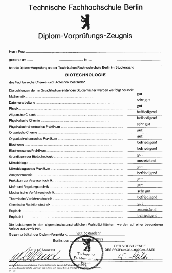 zeug8.gif (31070 Byte)