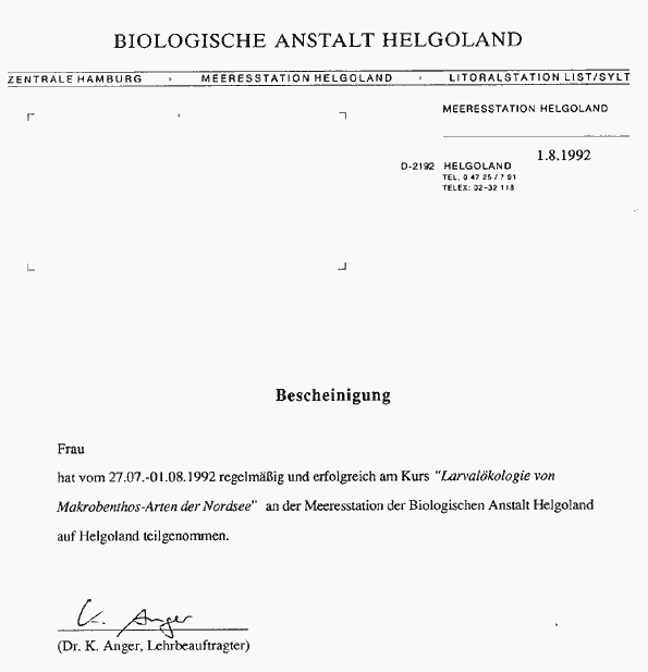 zeug6.gif (8324 Byte)