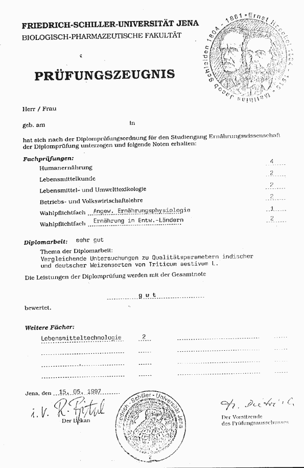 dipl2.gif (28164 Byte)