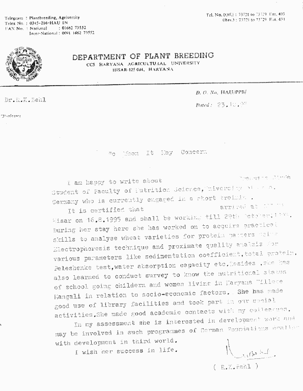 zeug4.gif (20122 Byte)